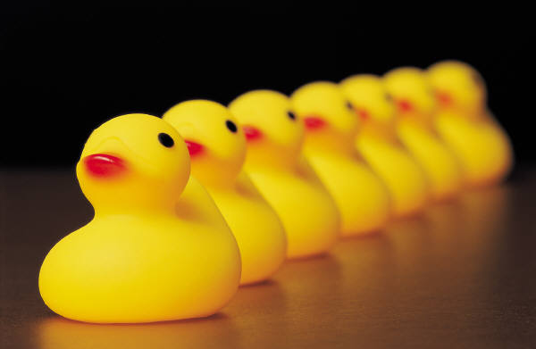 It’s time to get all of your Ducks in a Row